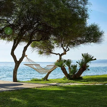 Afitis Boutique Afytos